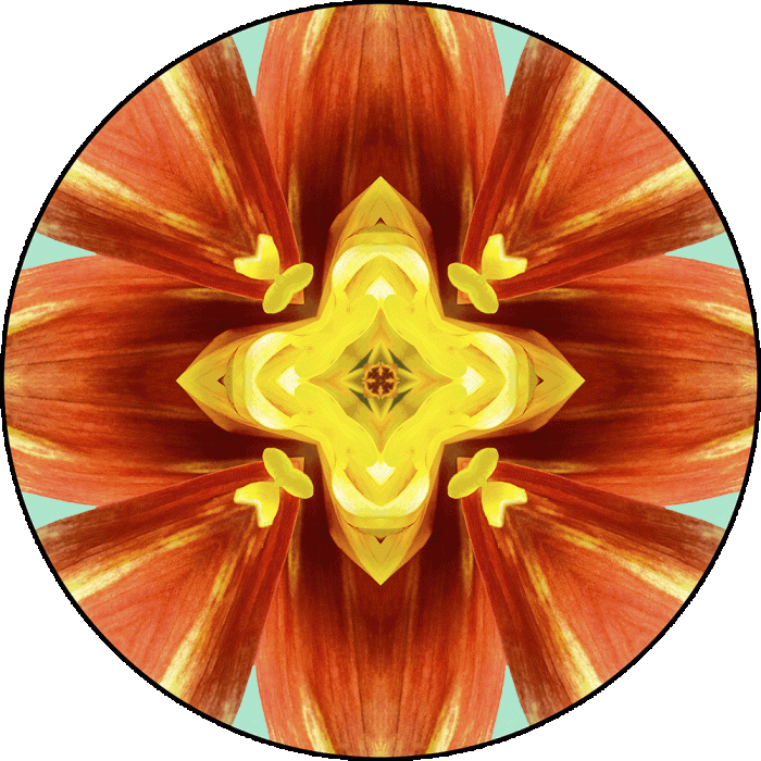 Daily Digital Mandala 1103