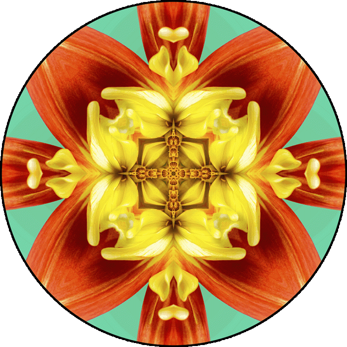 Daily Digital Mandala 1108