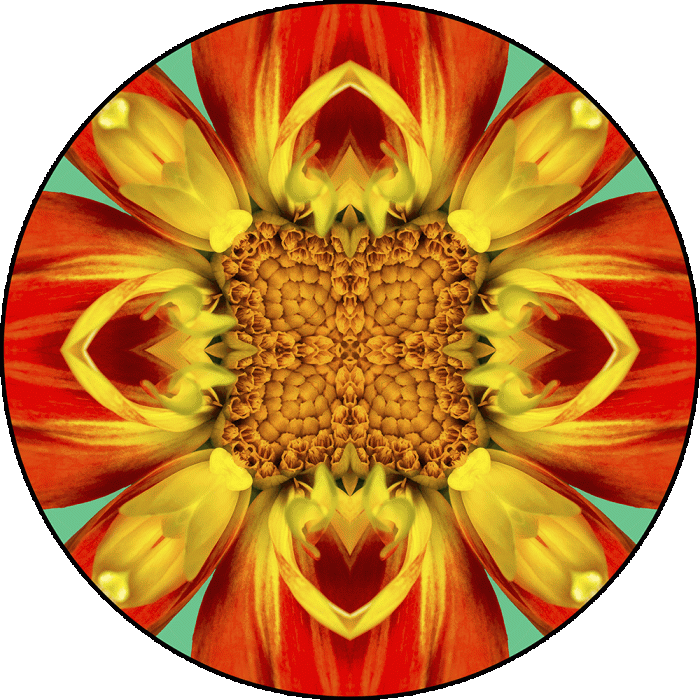Daily Digital Mandala 1111